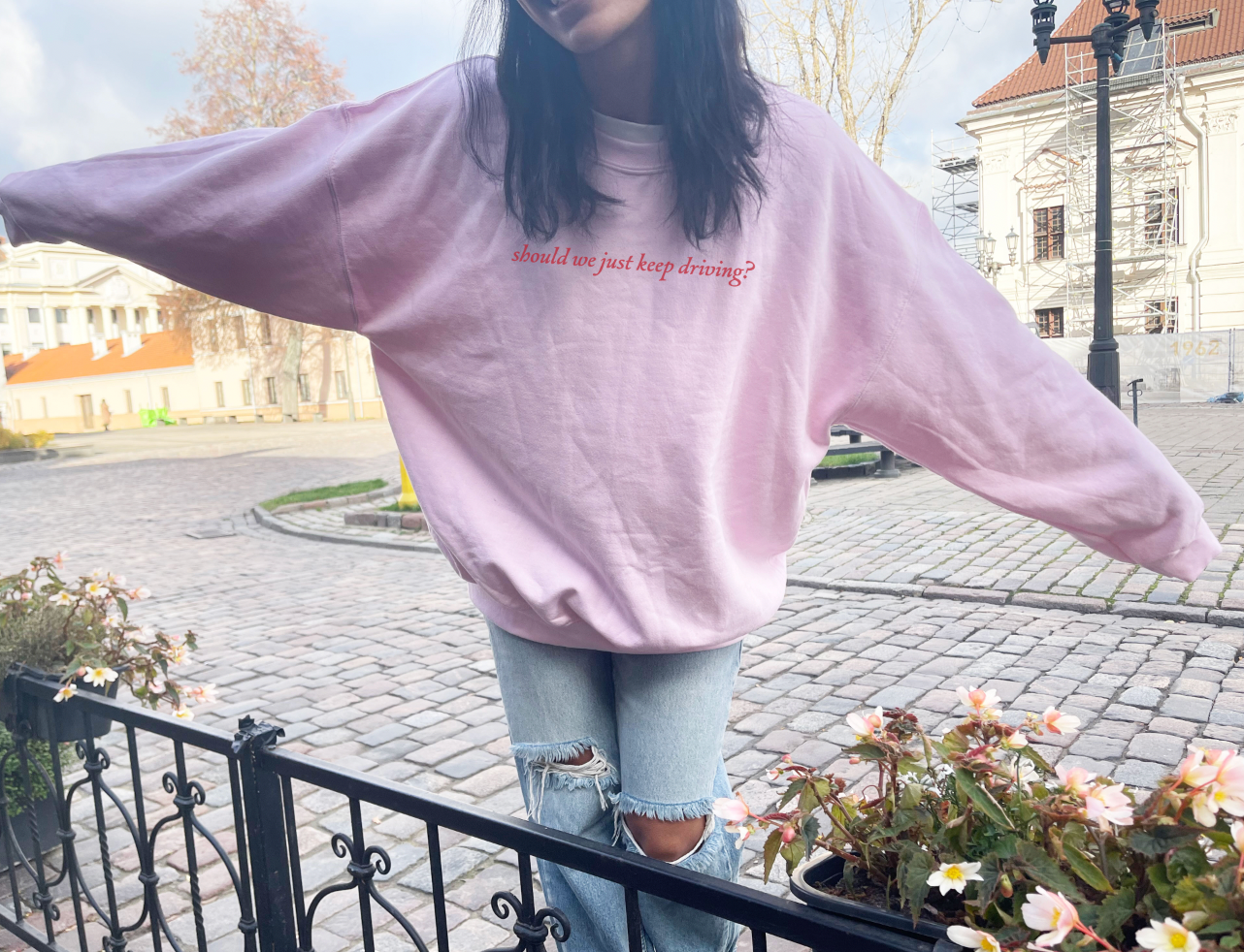 Should We Just Keep Driving? Hooded Sweatshirt